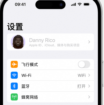 夷陵appleID维修服务iPhone设置中Apple ID显示为灰色无法使用