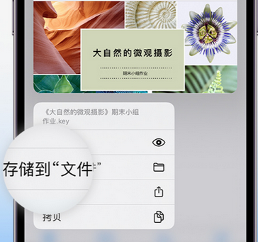 夷陵apple维修中心分享iPhone文件应用中存储和找到下载文件