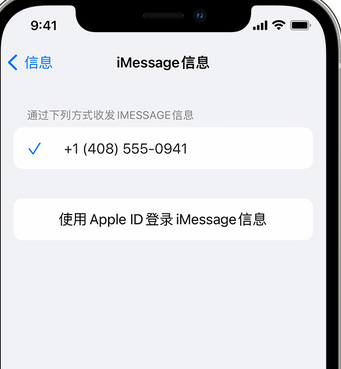 夷陵apple维修iPhone上无法正常发送iMessage信息 