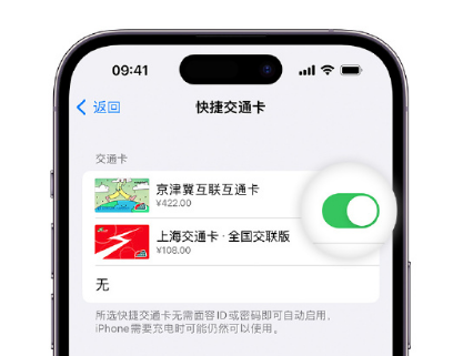 夷陵apple维修点分享iPhone上更换Apple Pay快捷交通卡手绘卡面 