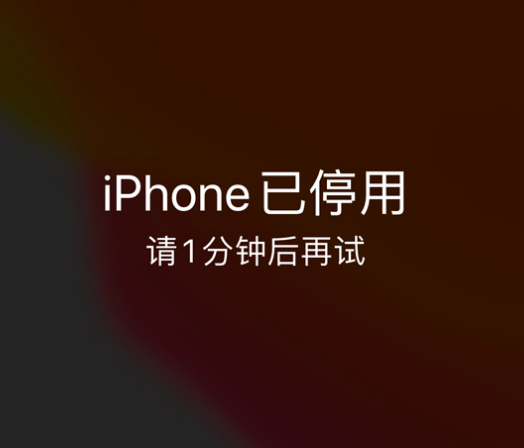 夷陵苹果手机维修分享:iPhone 显示“不可用”或“已停用”怎么办？还能保留数据吗？ 