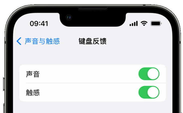 夷陵苹果手机维修分享iPhone 14触感键盘使用方法 