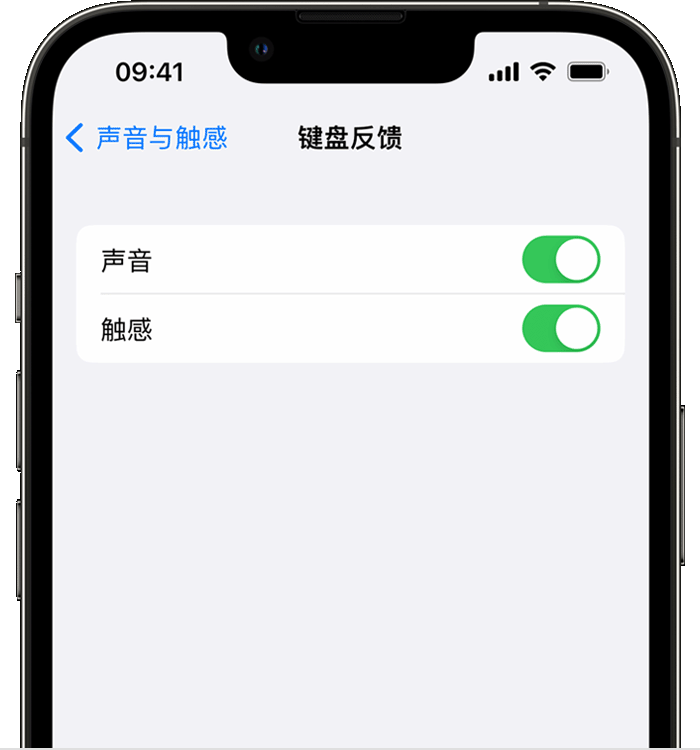 夷陵苹果14维修店分享如何在 iPhone 14 机型中使用触感键盘 