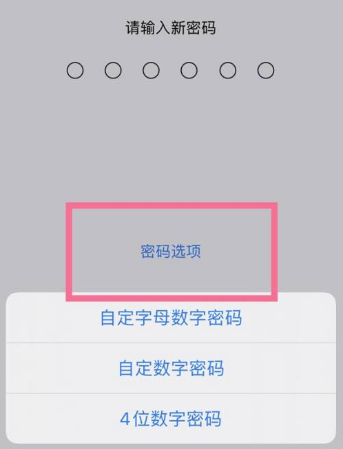 夷陵苹果14维修分享iPhone 14plus设置密码的方法 