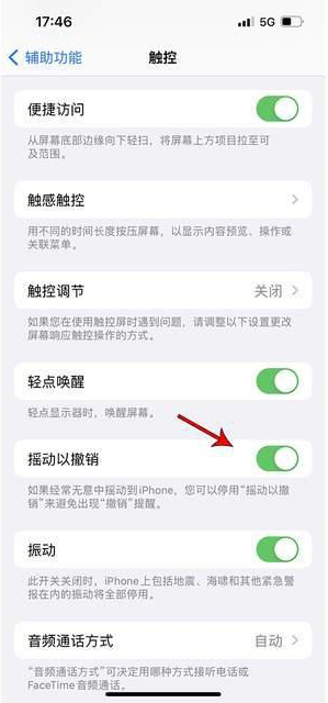 夷陵苹果手机维修分享iPhone手机如何设置摇一摇删除文字 