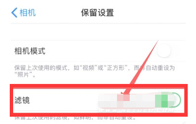 夷陵苹果13维修分享iPhone13拍照有绿点是怎么回事 