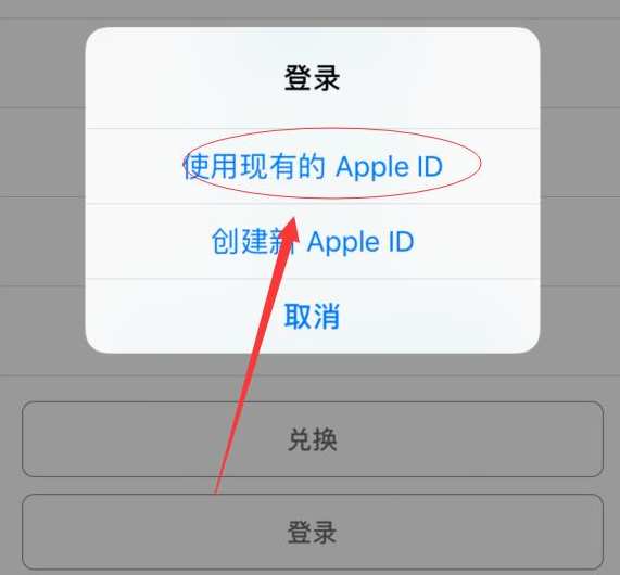 夷陵苹果手机维修分享两台iPhone设备可以同时登录一个Apple ID吗 