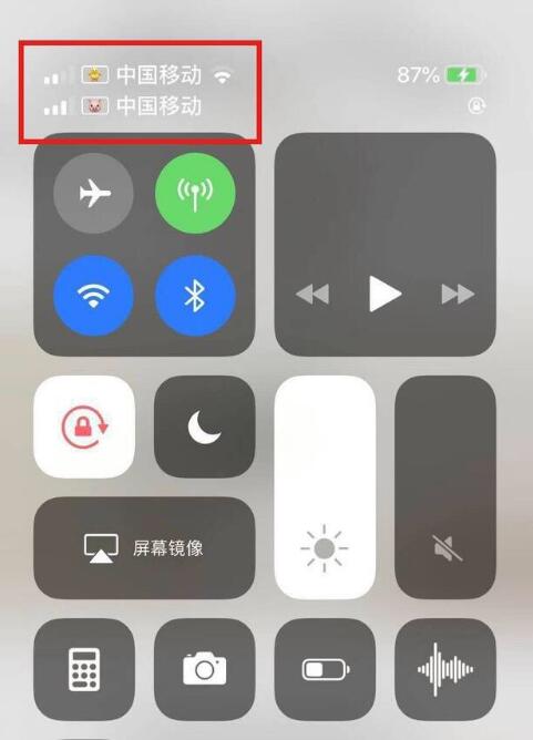 夷陵苹果手机维修分享为 iPhone 12 双卡设置标签 